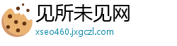 见所未见网